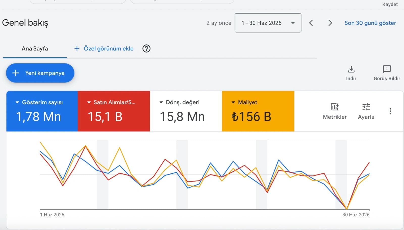 Google Ads e-ticaret kampanyasında Haziran 2026 gösterim, satın alma, dönüşüm değeri ve reklam maliyeti